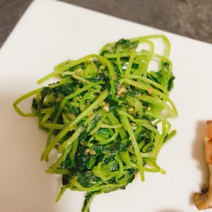 海苔まみれ♡レンジで簡単♡豆苗の海苔胡麻和え